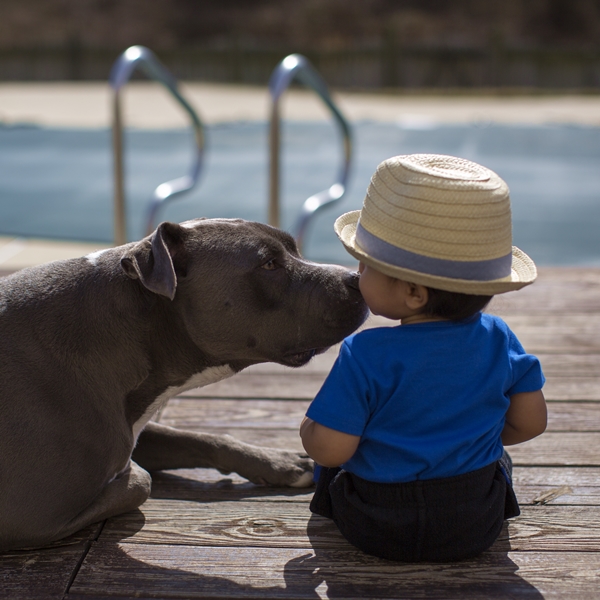Cute4Kind The Story Of Ethaniel And His Pit Bull Caylao kissing by the pool